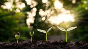 5 Best AI tools to monitor environmental impact