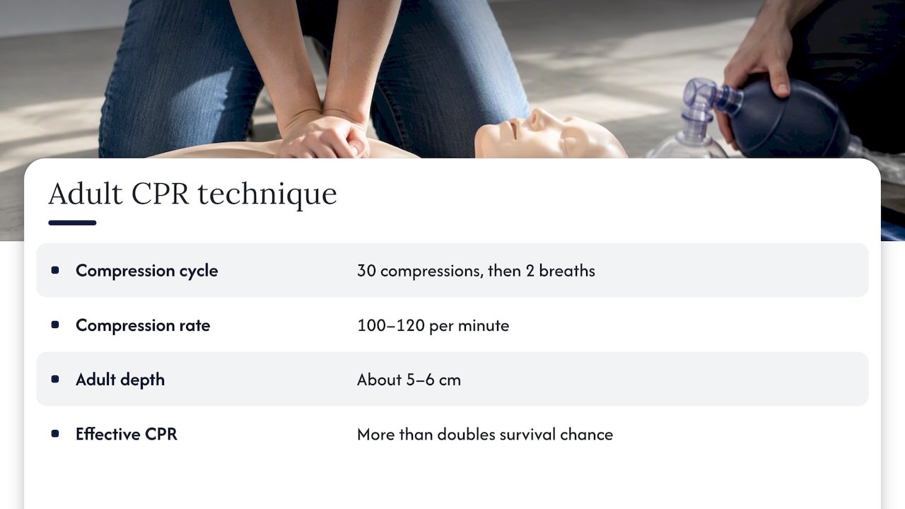What CPR actually is — overview diagram
