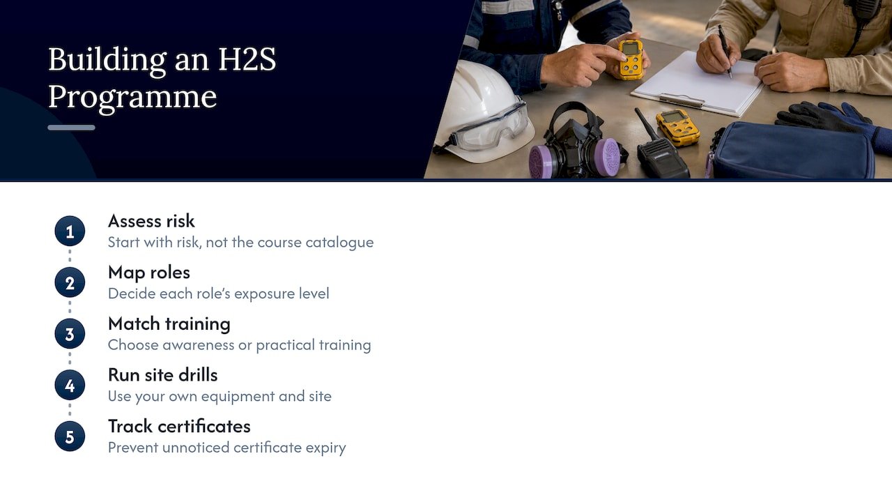 Perspective: how we would build an H2S programme — overview diagram