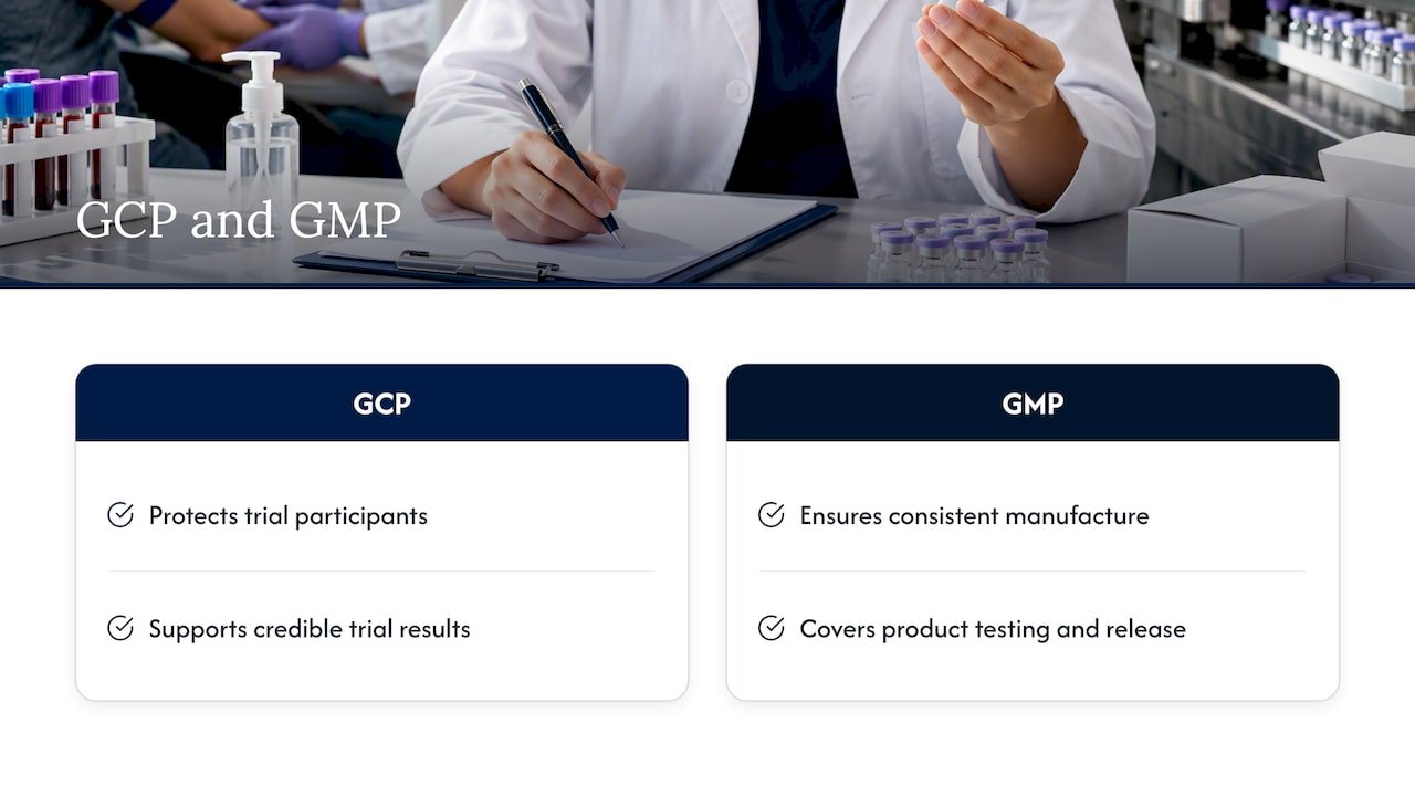 GCP and GMP focus compared side by side